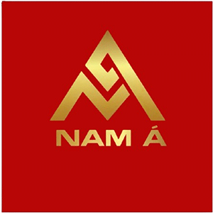 Nam Á